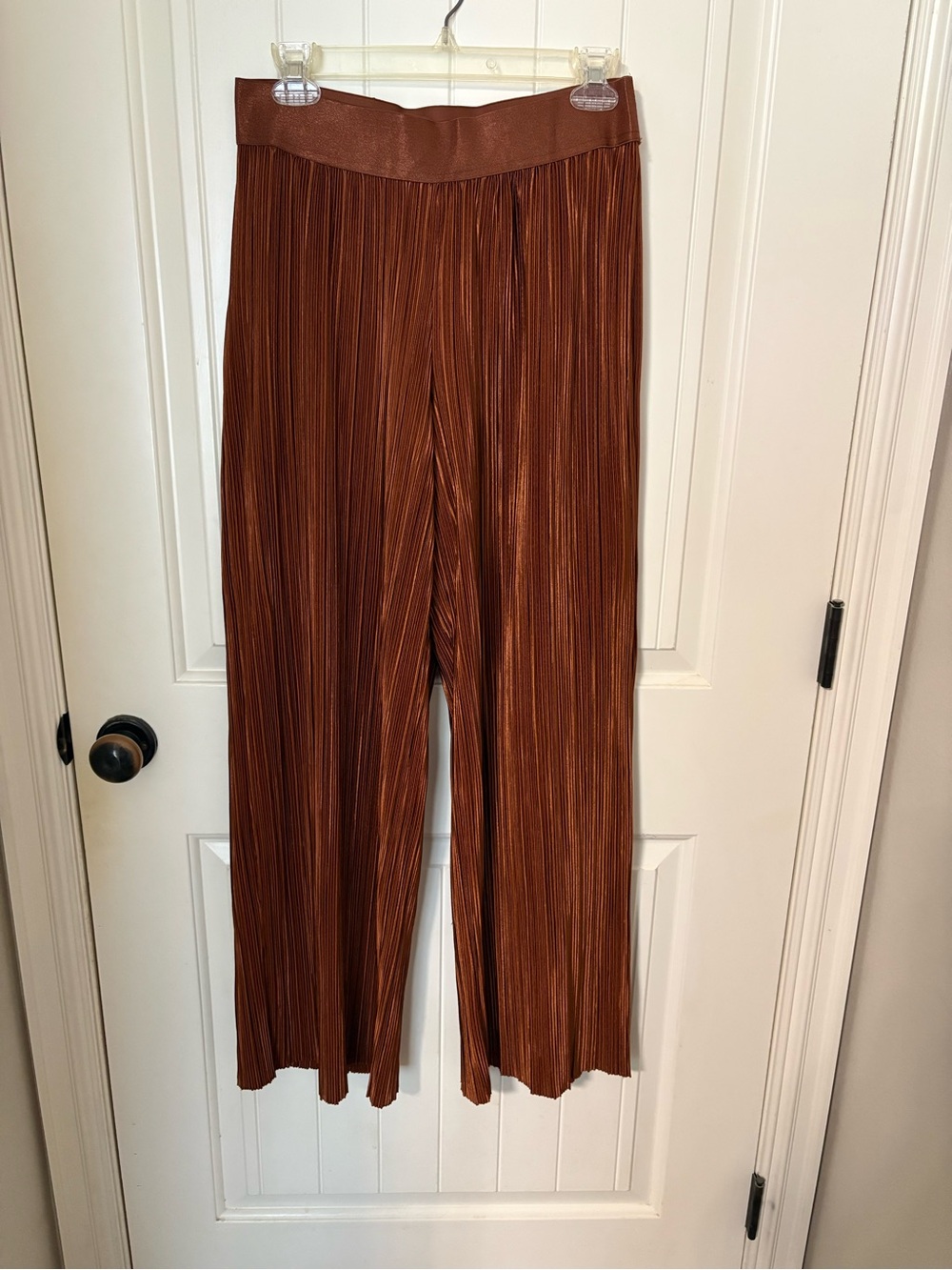 Pleated Wide-Leg Trousers in Rust